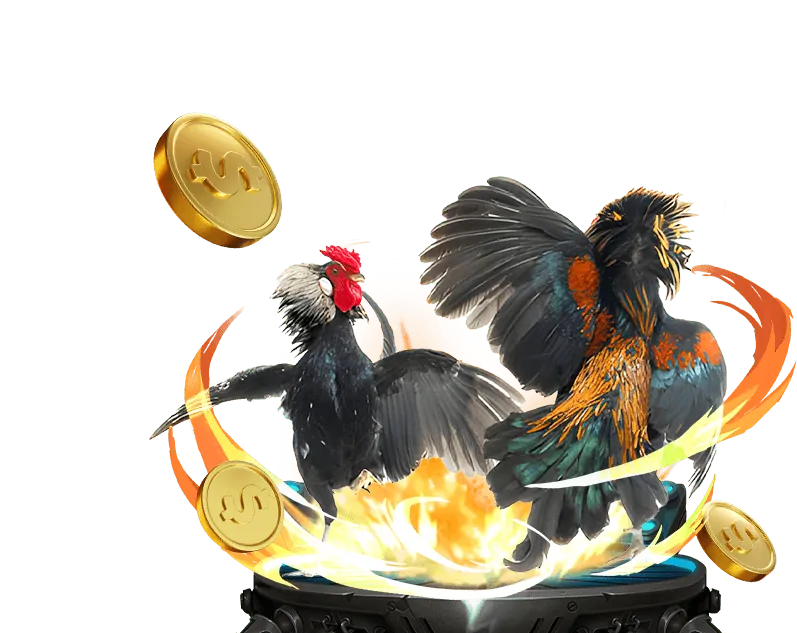 Cá cược thể thao 9kv99